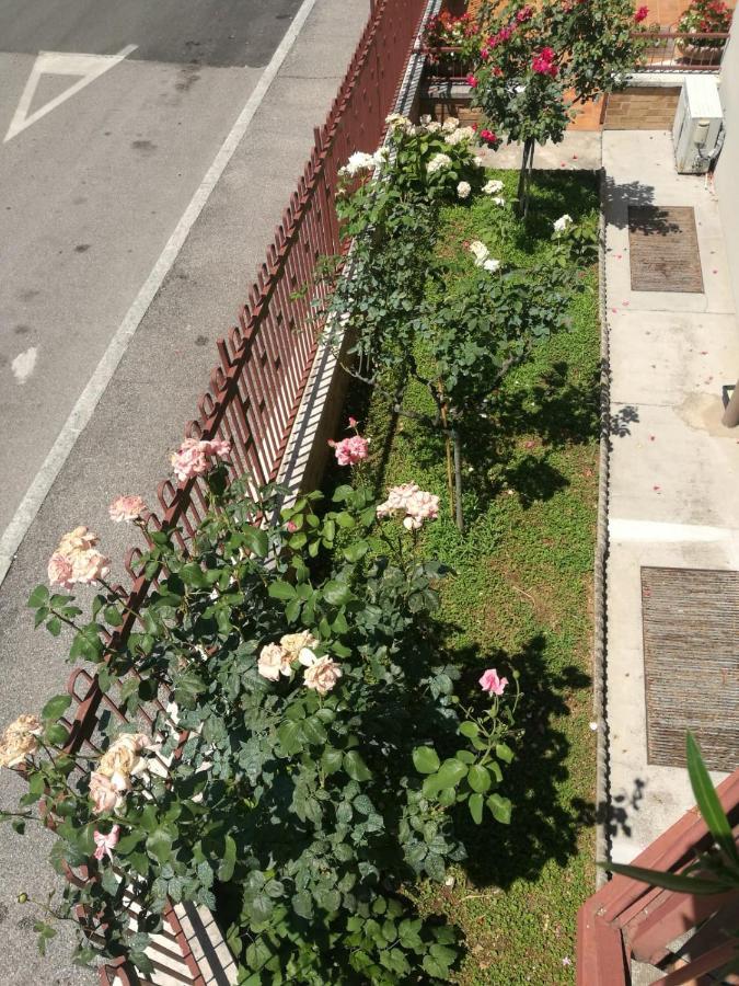 Guest house Minihouselarissa Diverona *