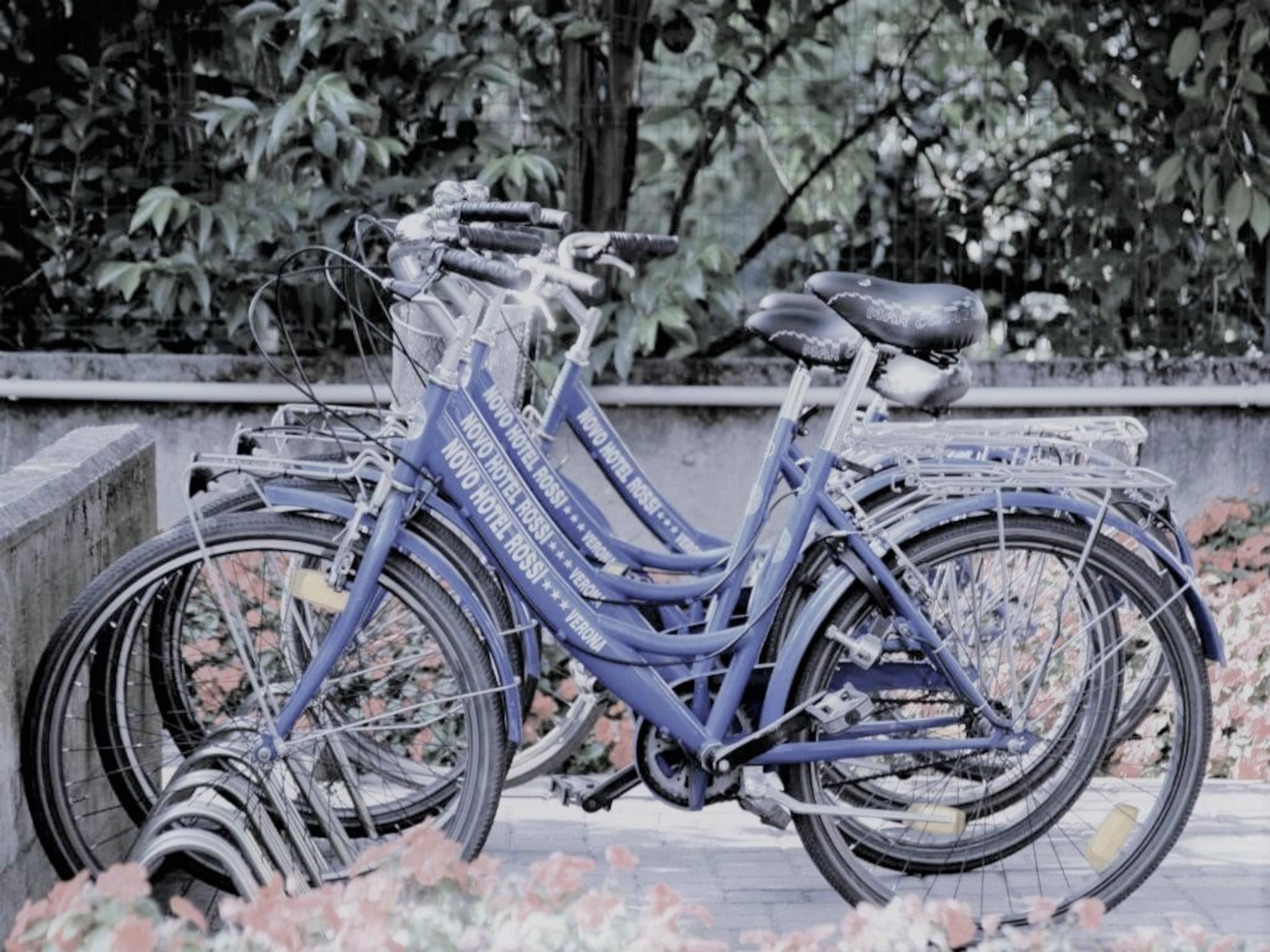 Novo Rossi Hotelli Verona