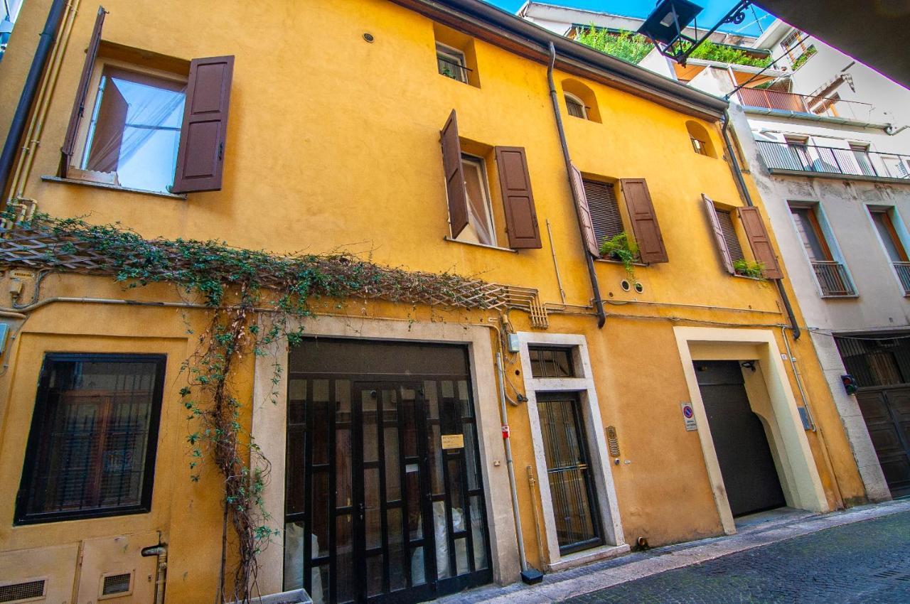 Il Cuscino Di Giulietta - 2 Min From Arena Apartment