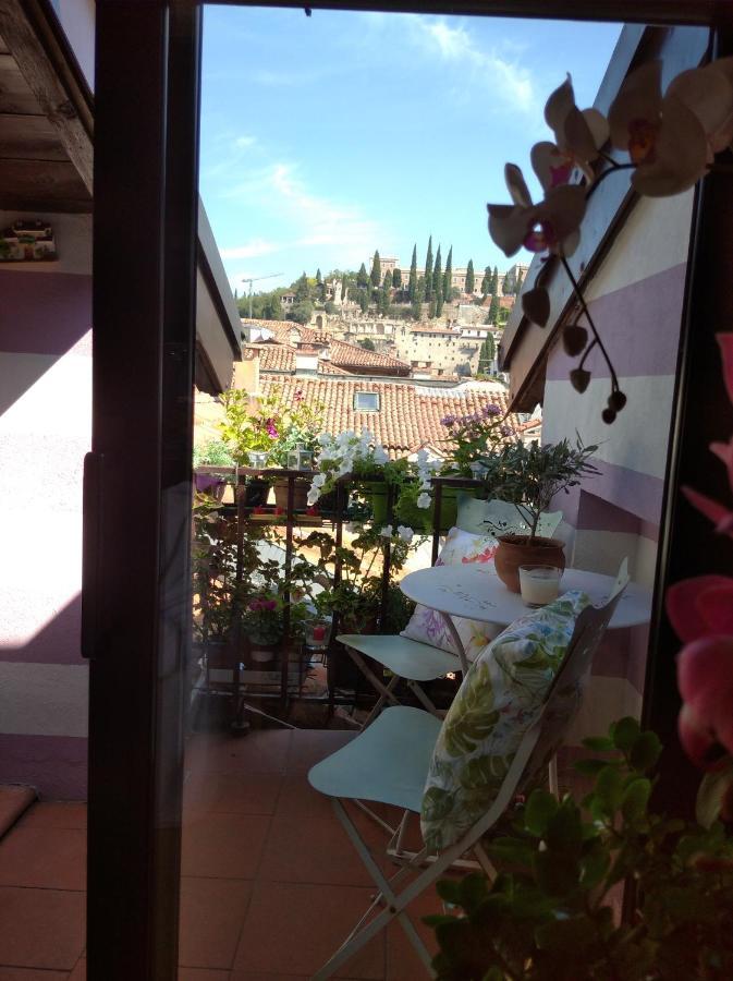 Residenza Elisabetta Luxury Nhà khách