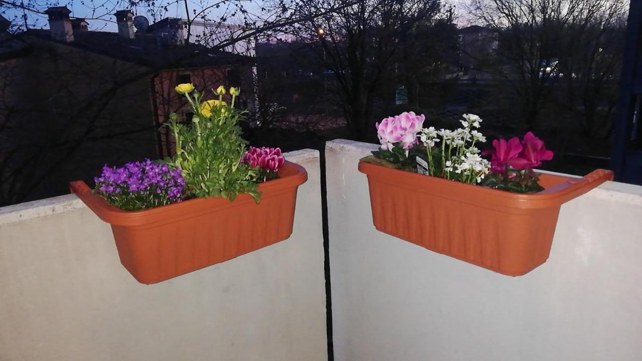 Apartment Con Due Da Letto E Free Park