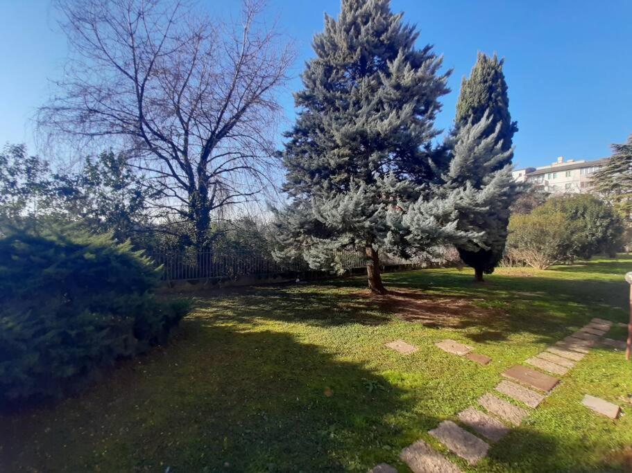Atelier Verona