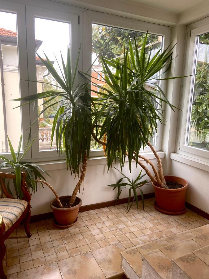 Bed & Breakfast B&B Magnolia Verona