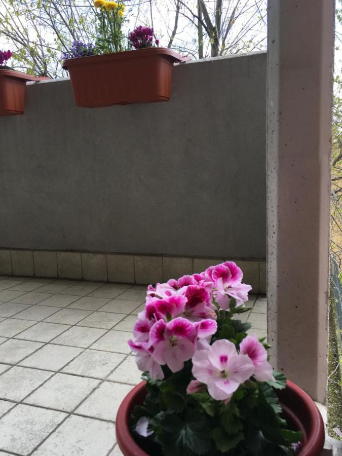 Apartment Con Due Da Letto E Free Park