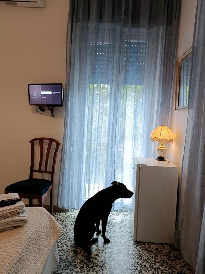 Mavipagi * Verona