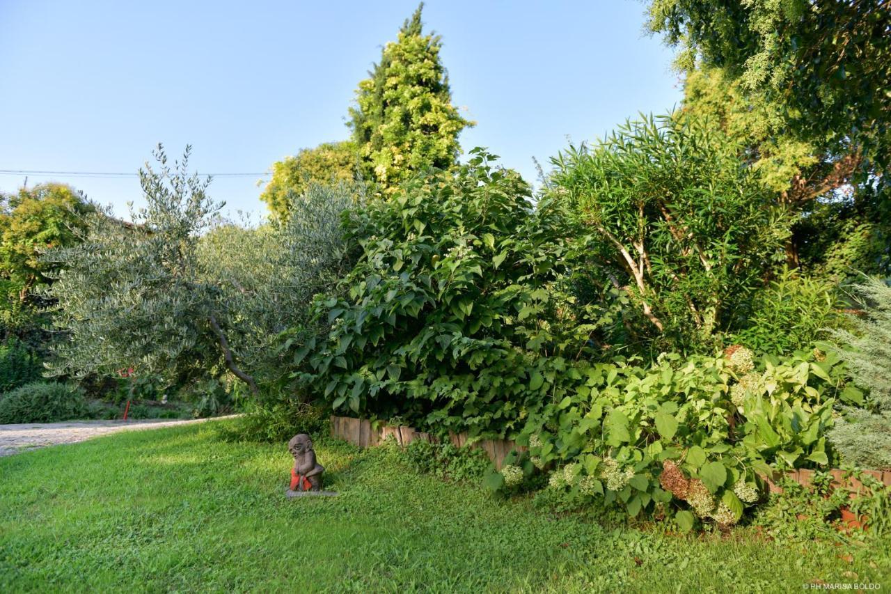 Villa Isidoro Ampio Parco Piscina Privata, Arte E Giochi Fitness *