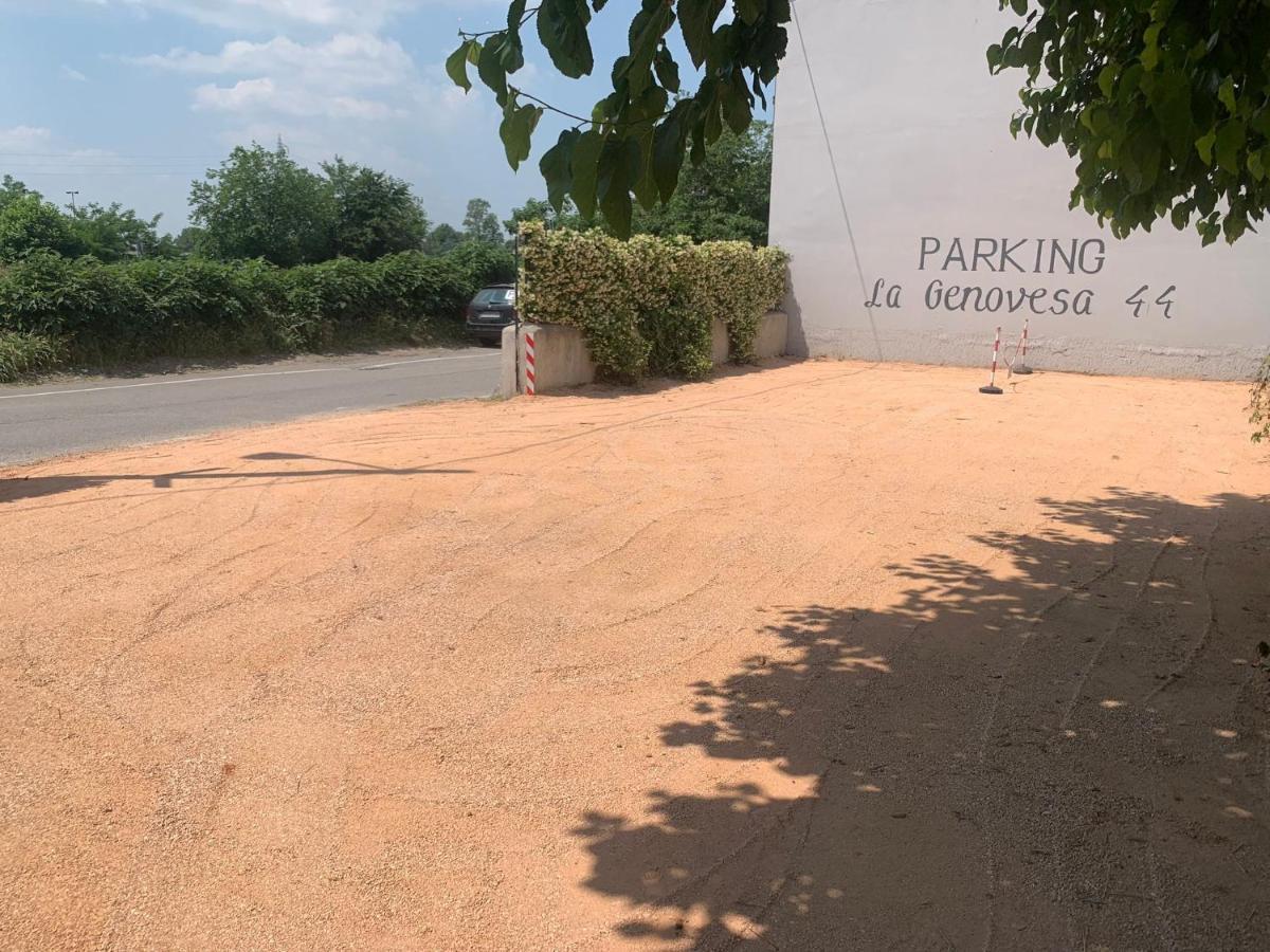 Genovesa 42
