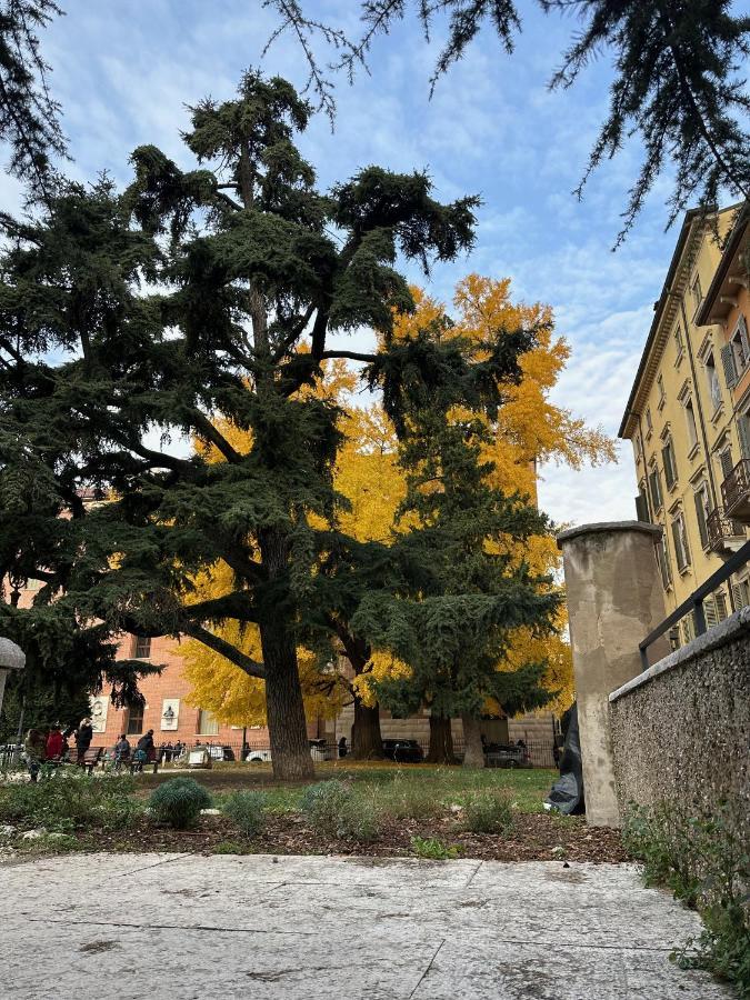 Apartment Domus Largo Pescheria *