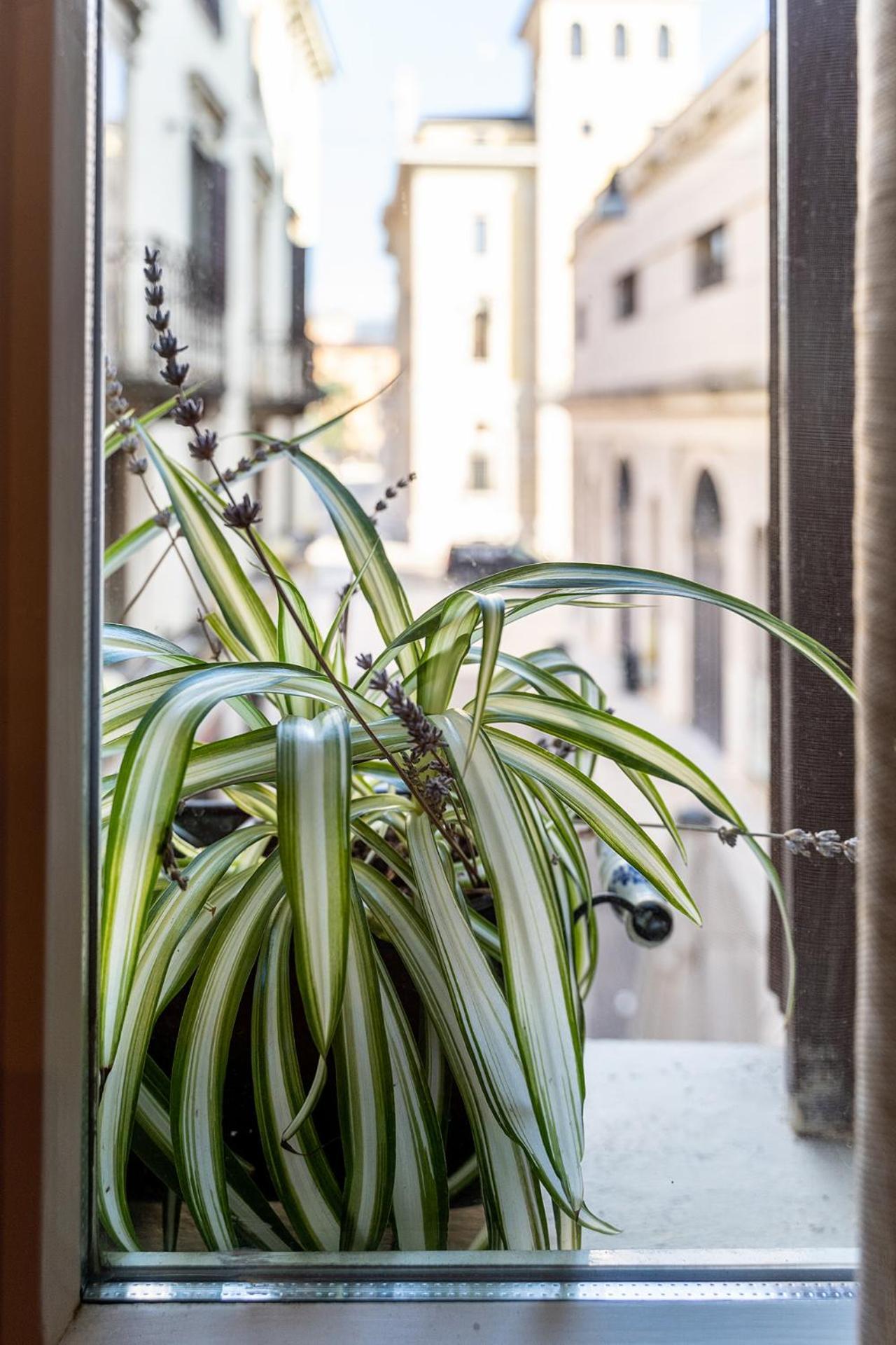 Dependance Cara Giulietta Apartment