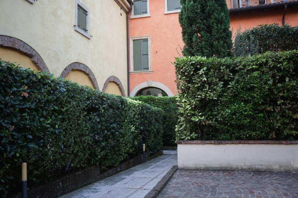 La Finestra Sul Civico Cinque Apartment *