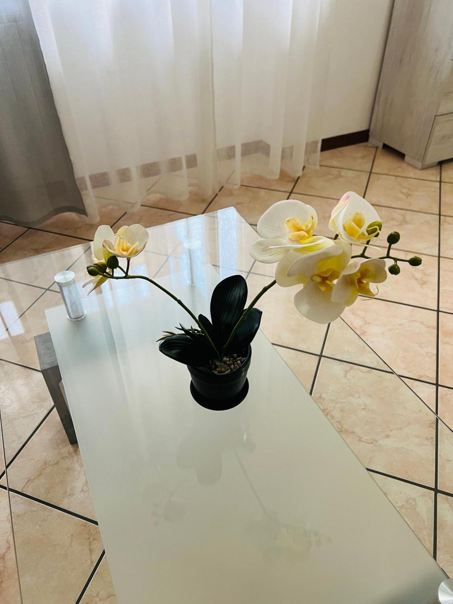 Casa Elena 2 Appartement *