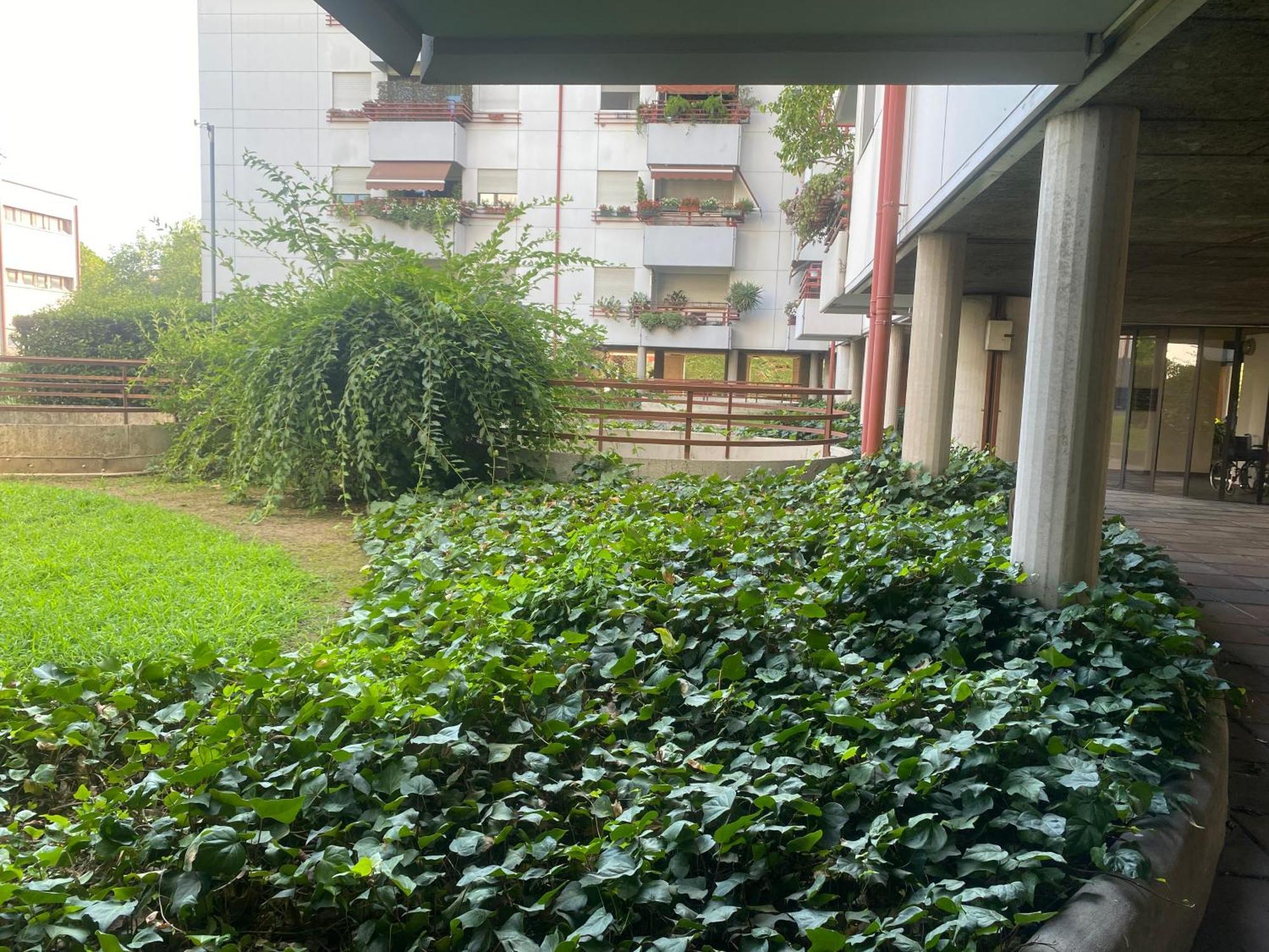 La Belle Vue Apartment *