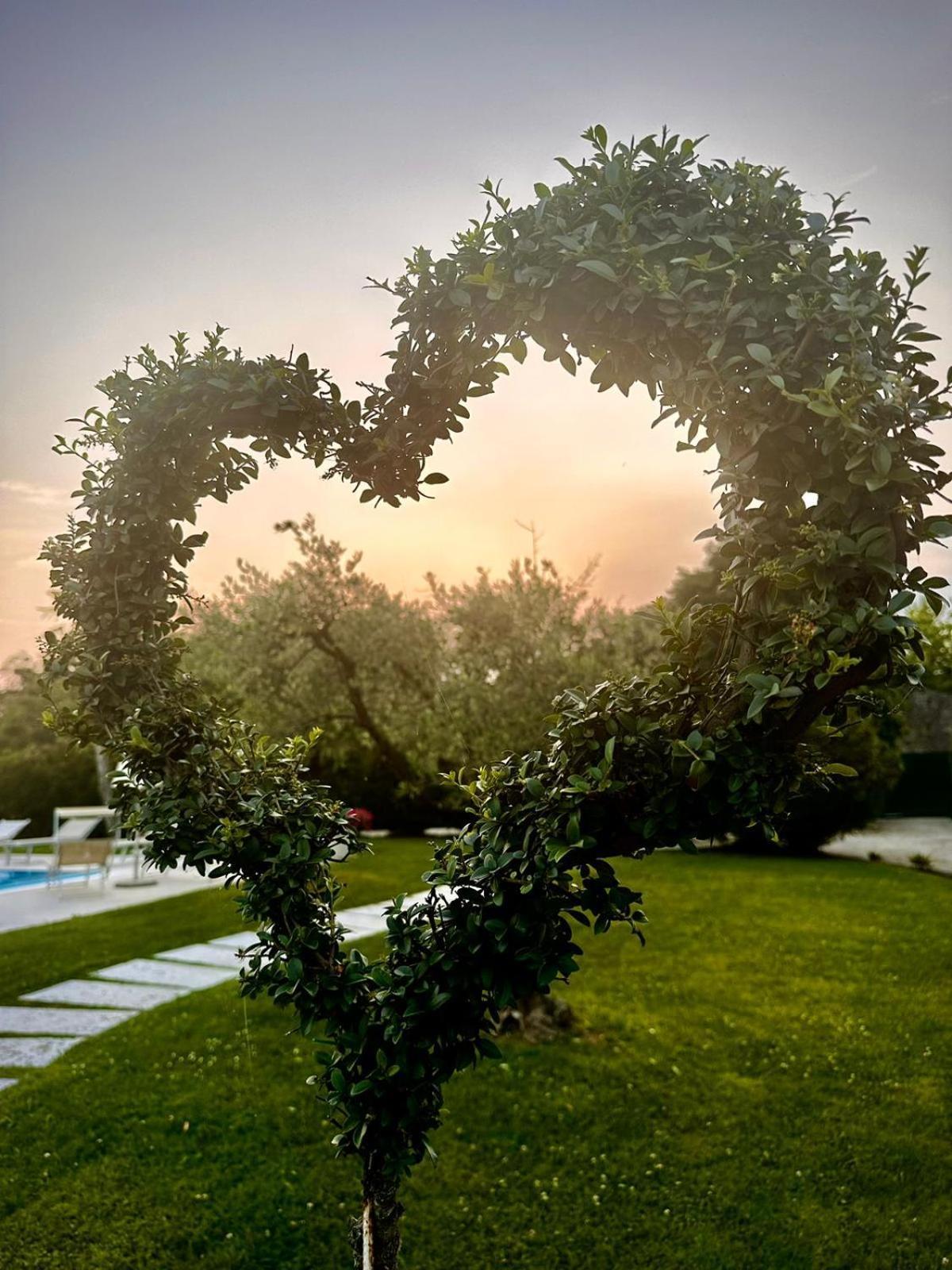 Agriturismo Dell'orto