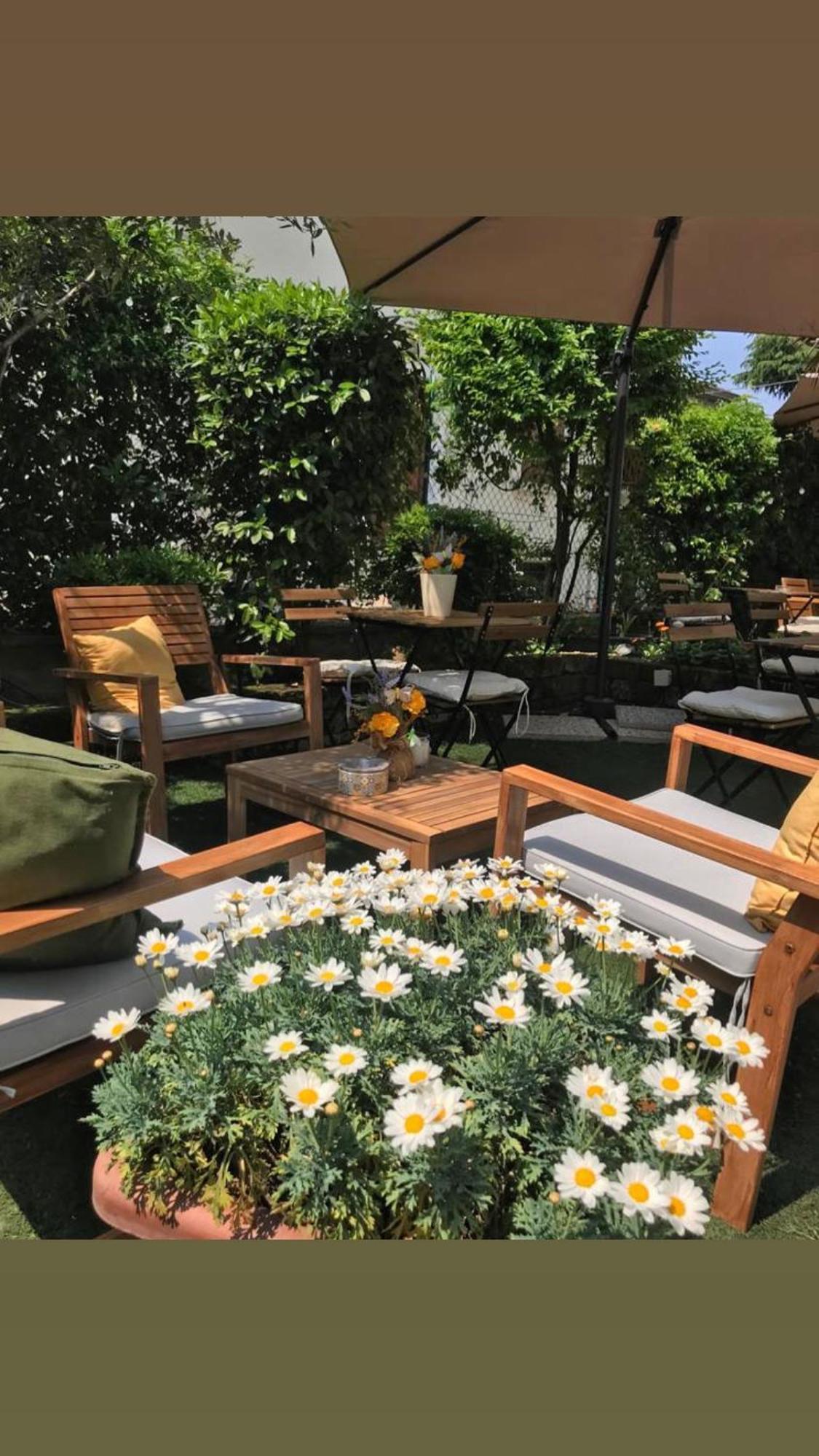 B&B Magnolia 2*