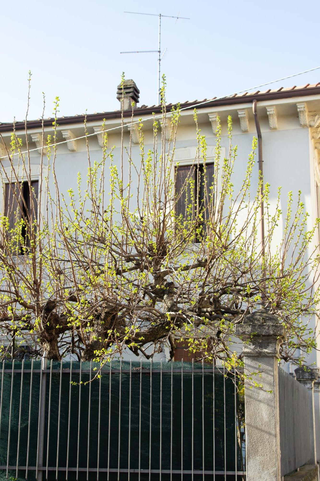 Apartment Nest Verona