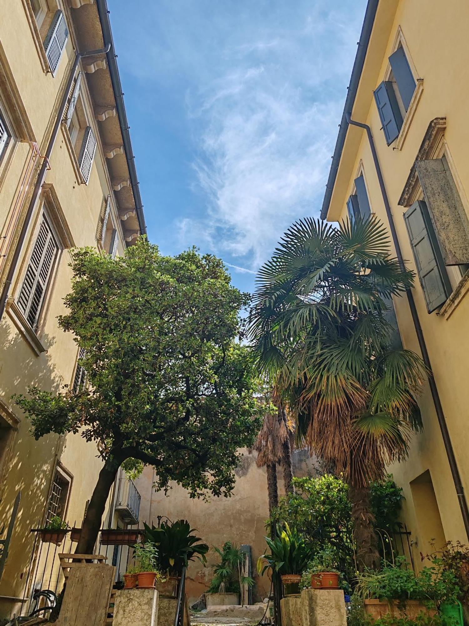Apartment Pao - Veronetta 1