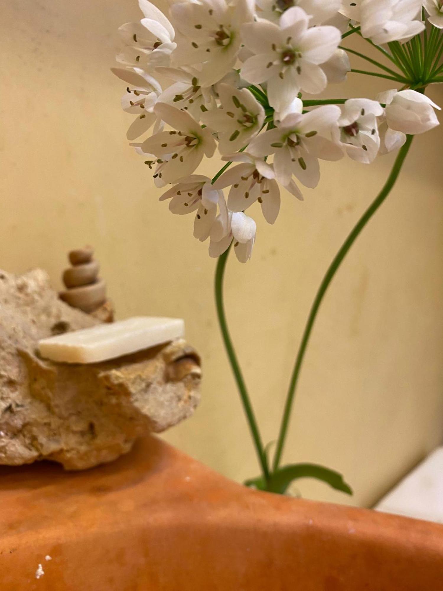 Incasa Apartment Verona