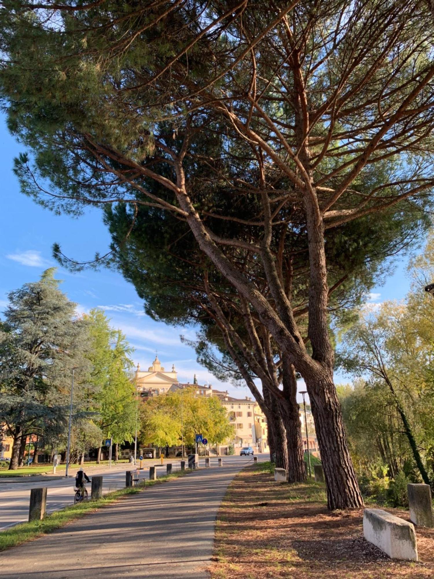 Vivere Original Verona