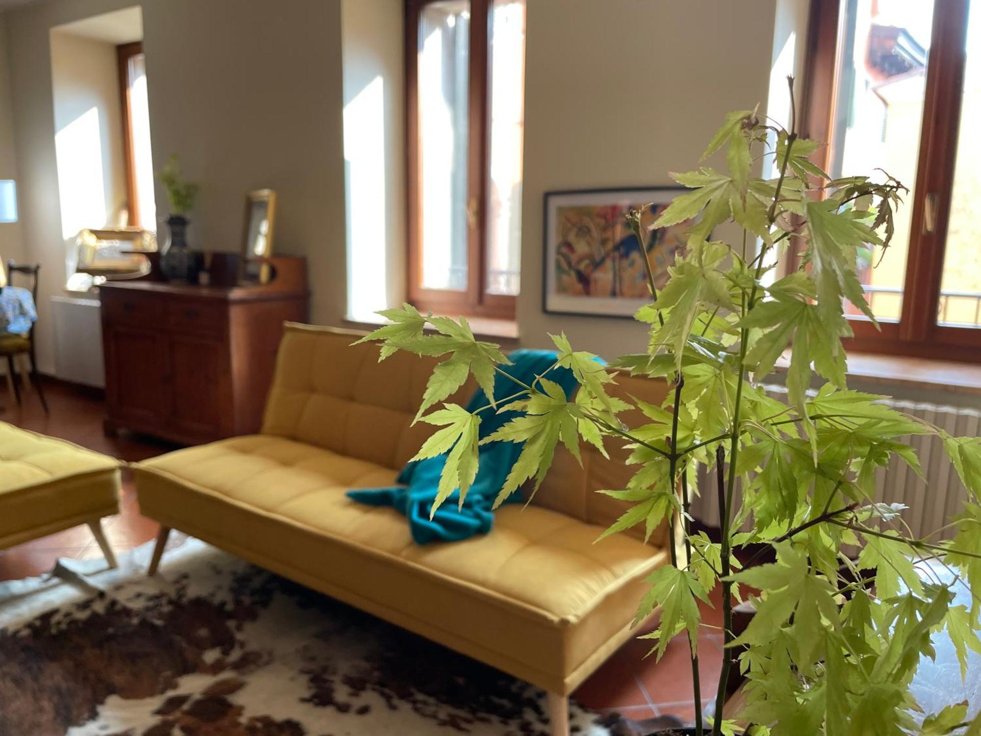 Montecchi House