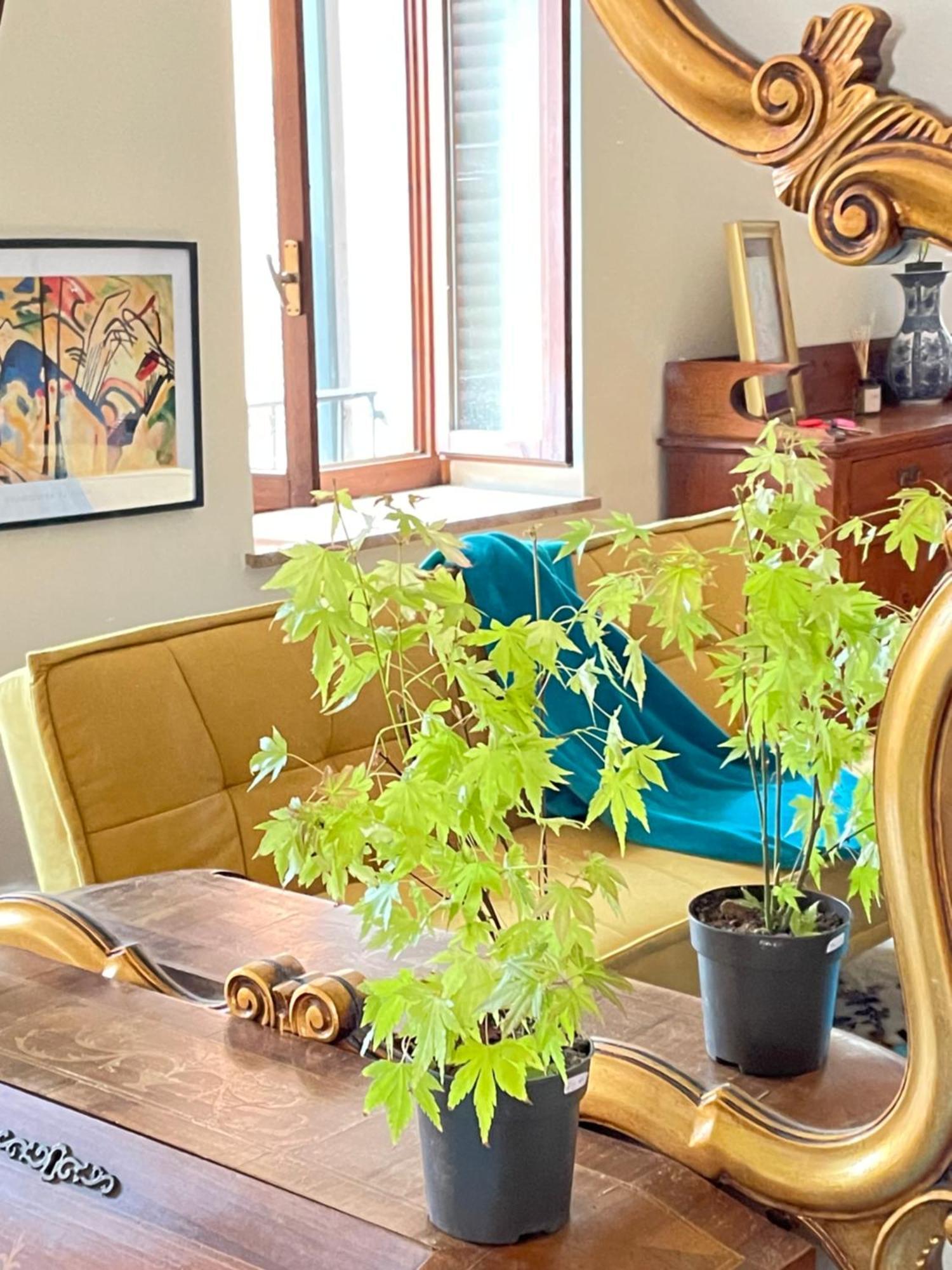 Apartment Montecchi House Verona