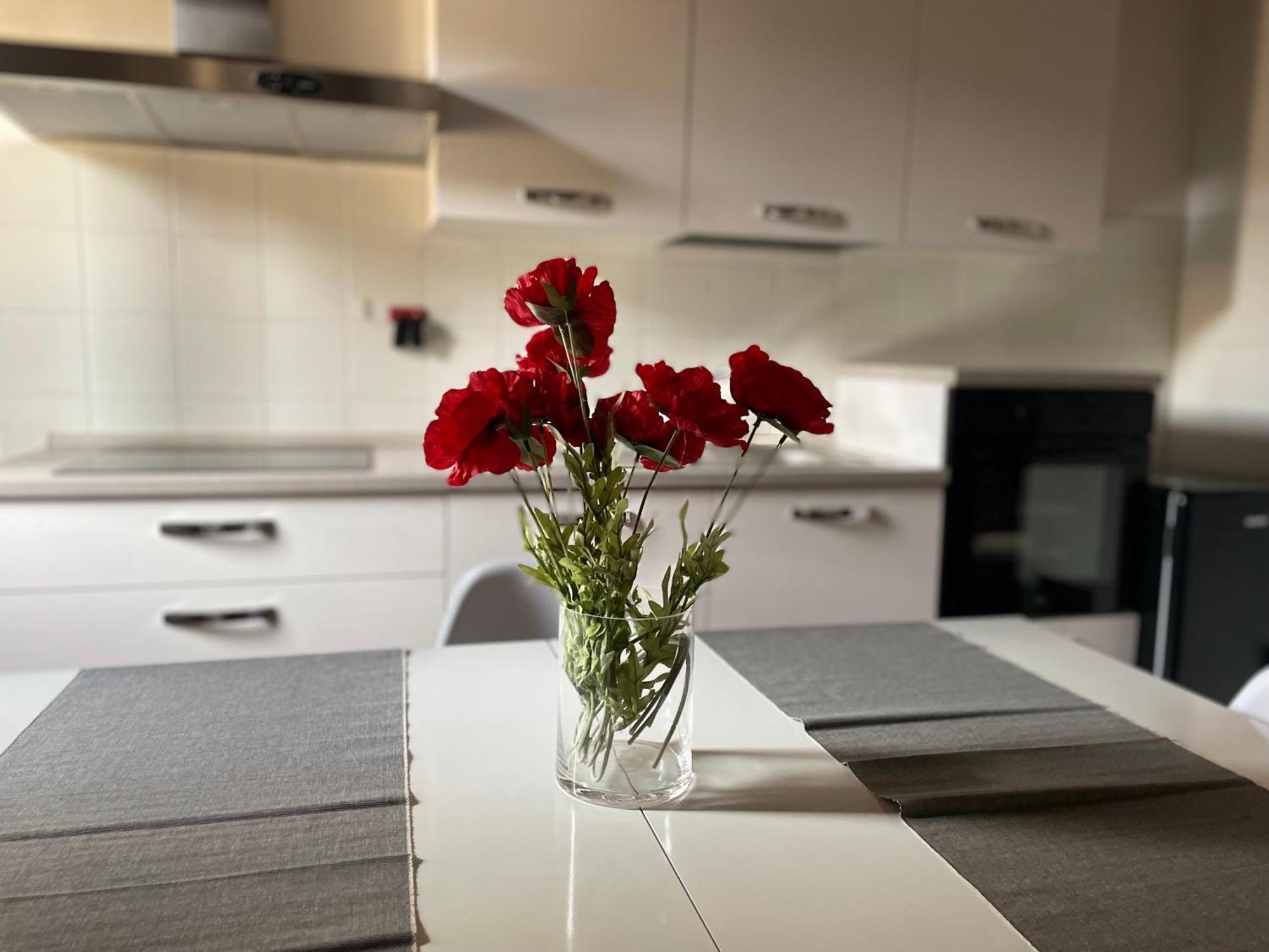 Apartment Scaligeri House Verona
