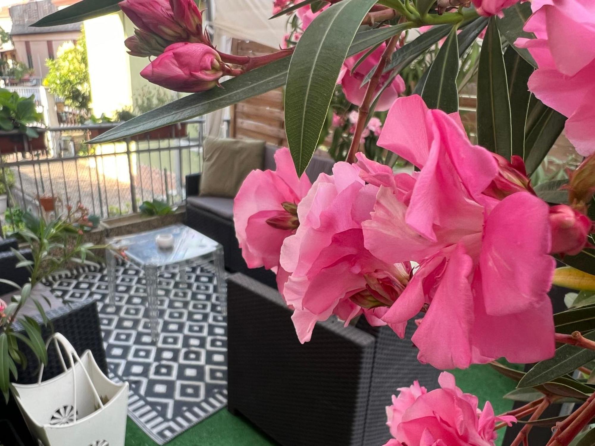 New Business And Fun G B Rossi Friendly Guest house Verona