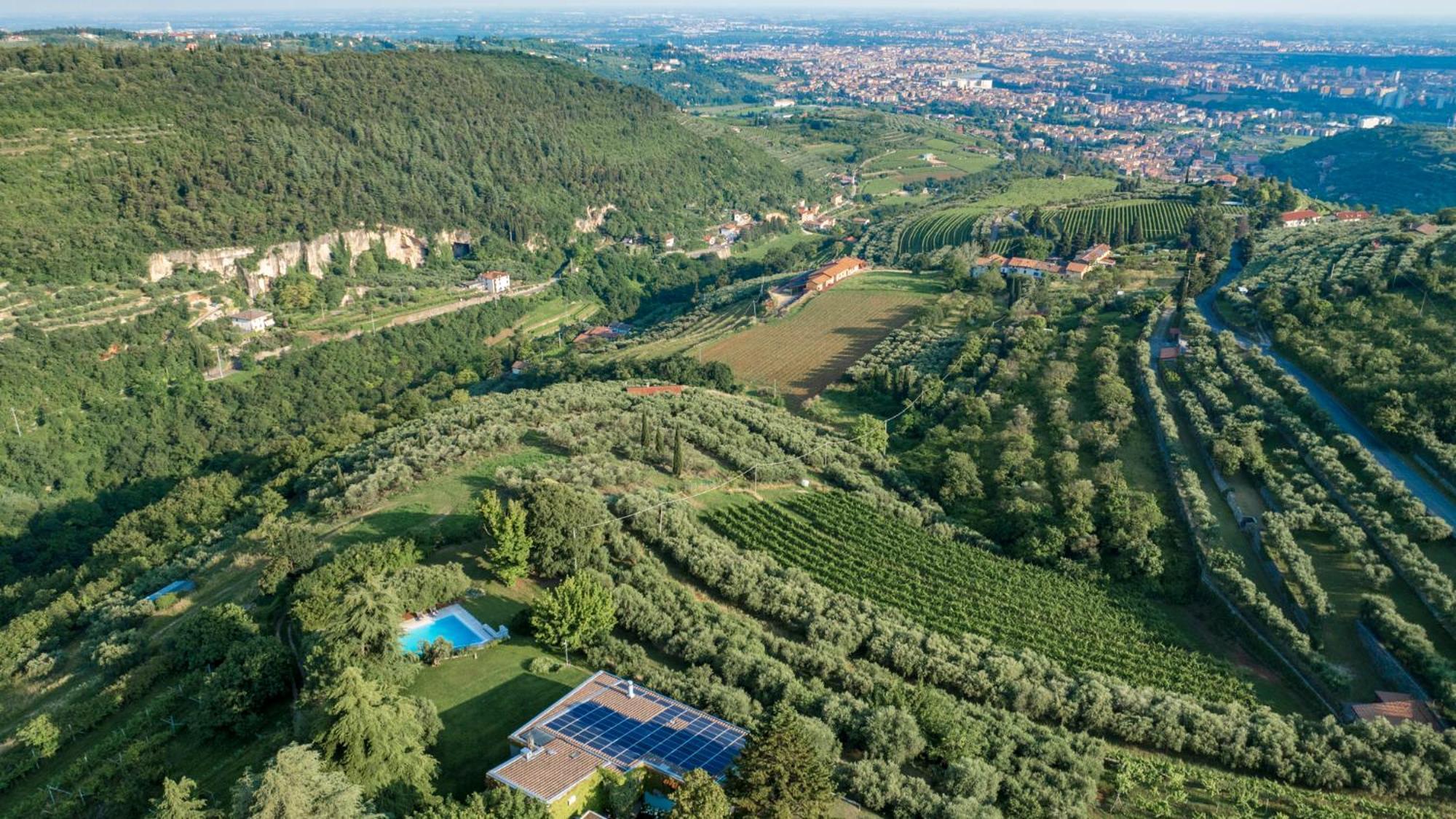 Villa Degli Ulivi 8, Emma *