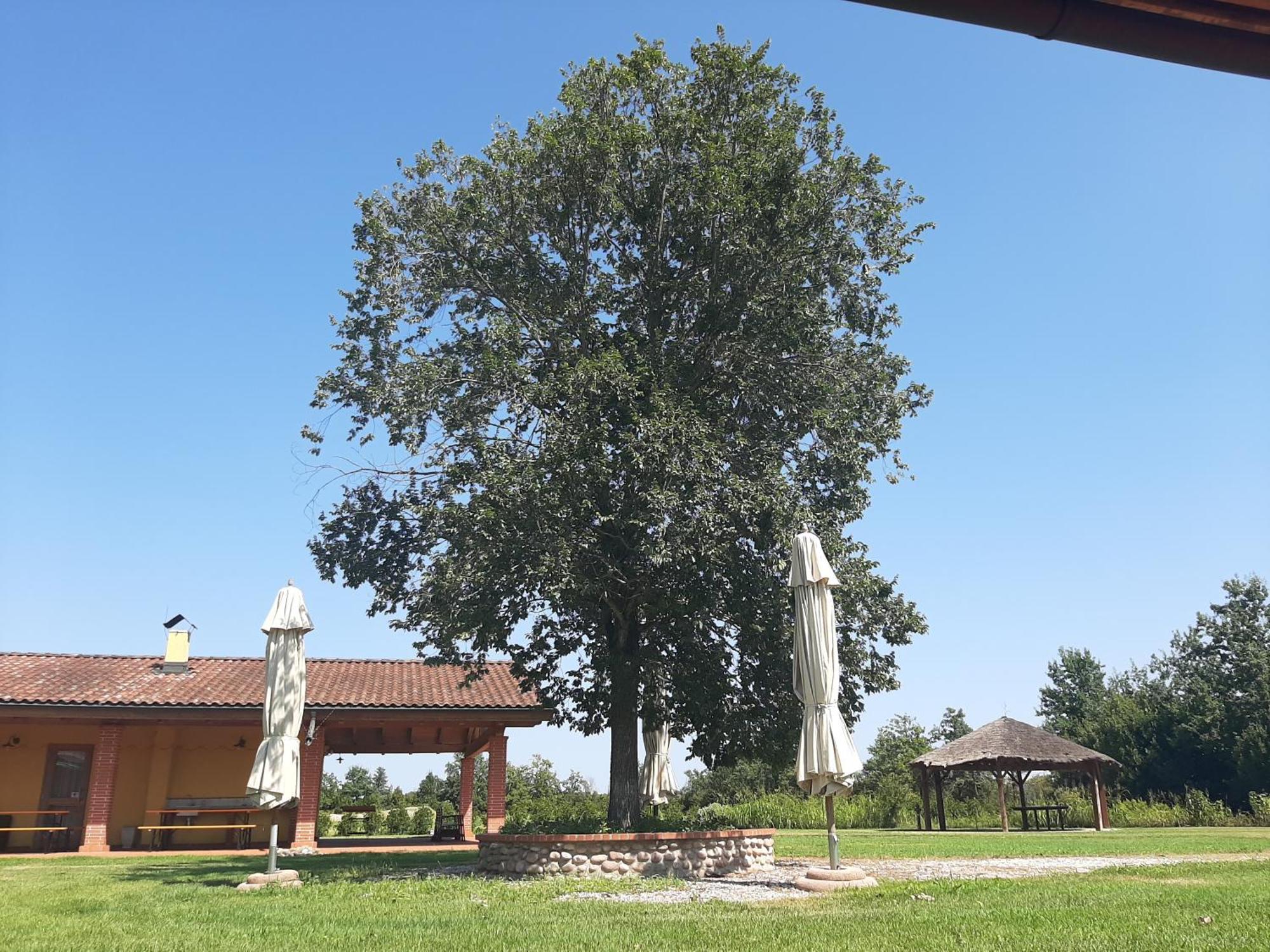 Corte All'olmo Maatilamajoitukset