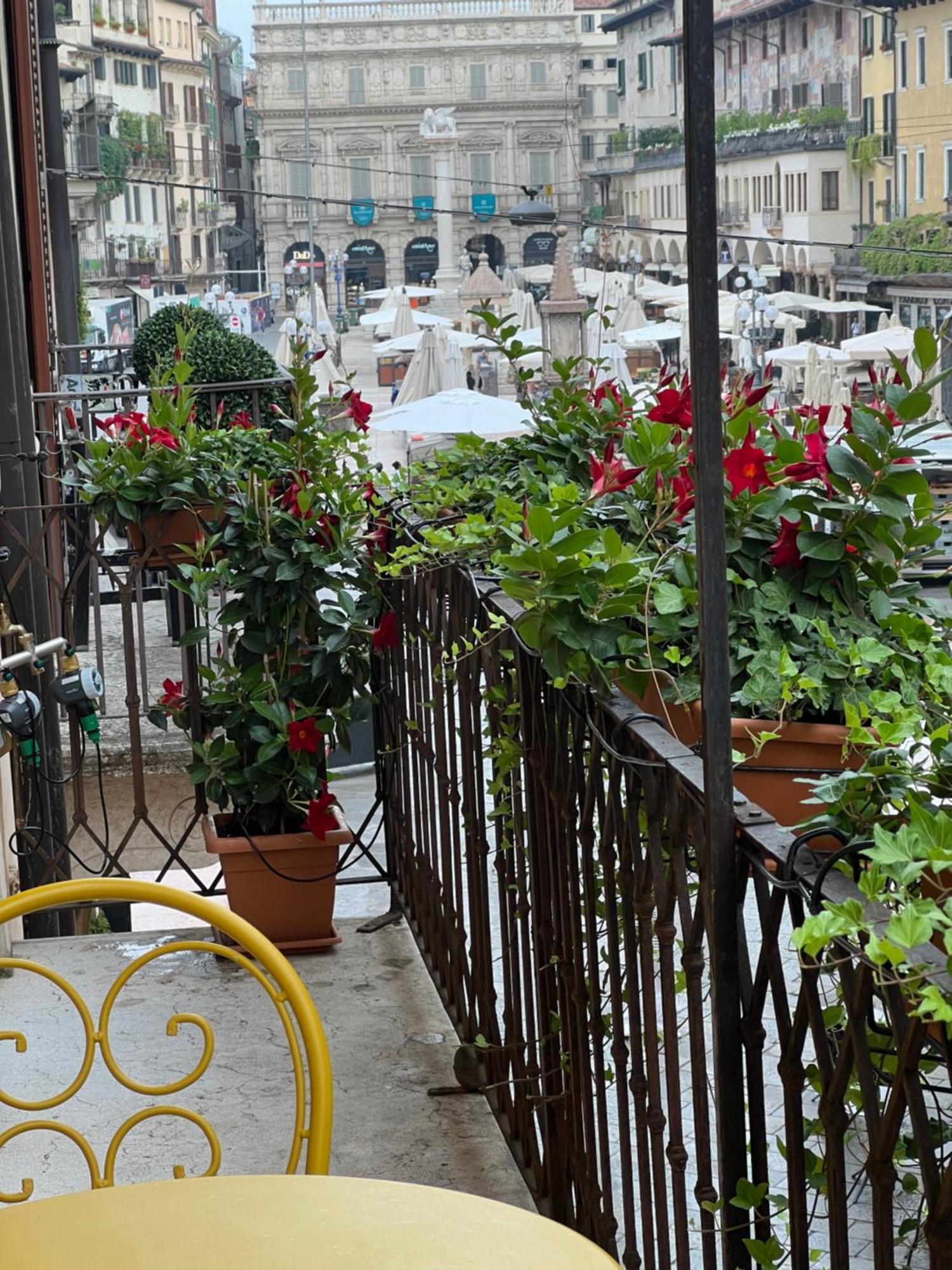 Flores * Verona