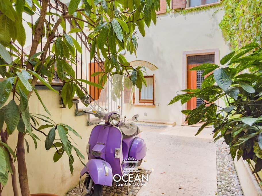 Veronetta House Oceangroup Apartment *
