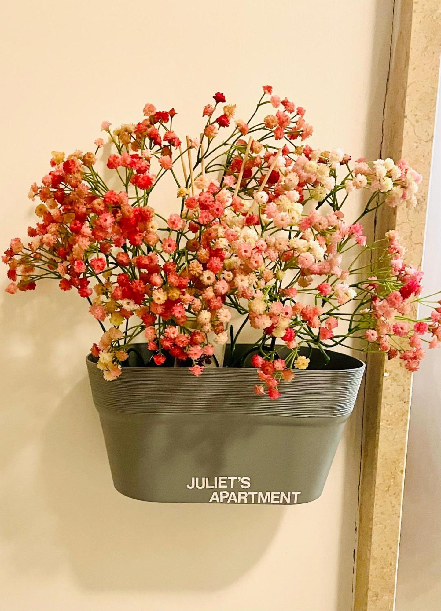 Juliet's Verona