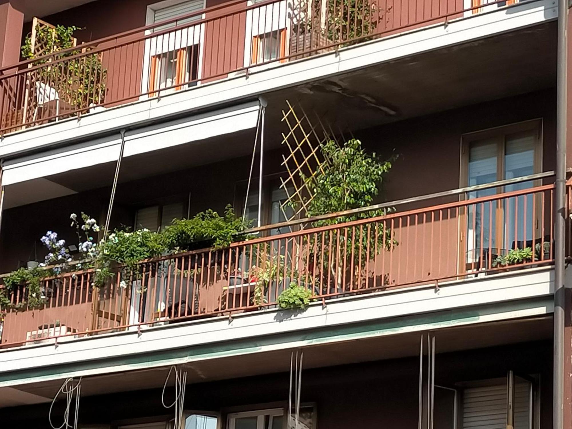 Casa Della Zia Elsa 2*