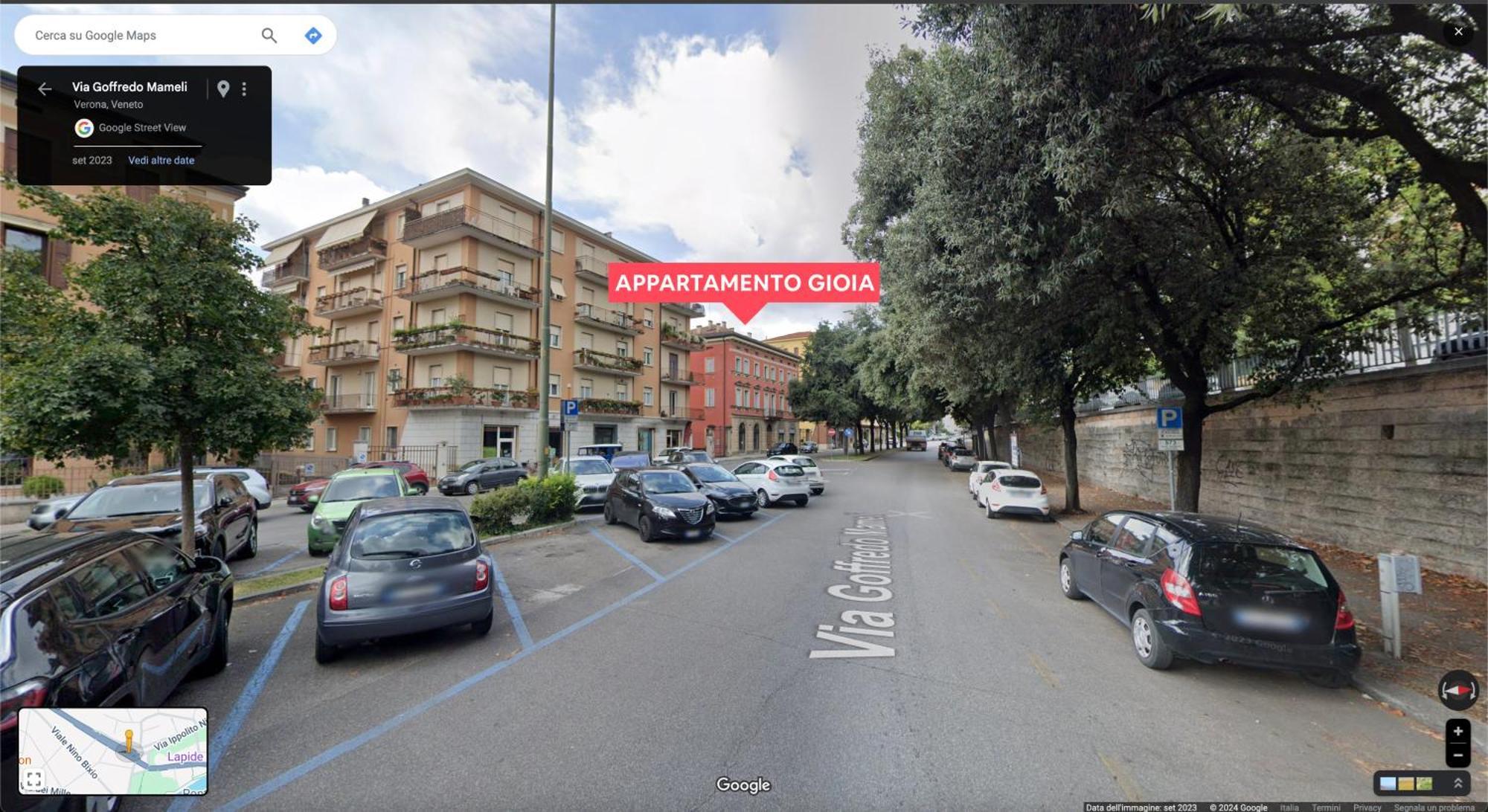 Gioia