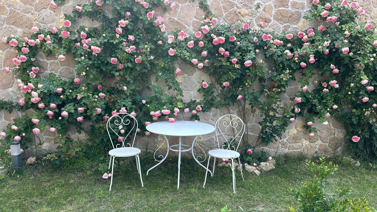 Apartment Corte Busola *