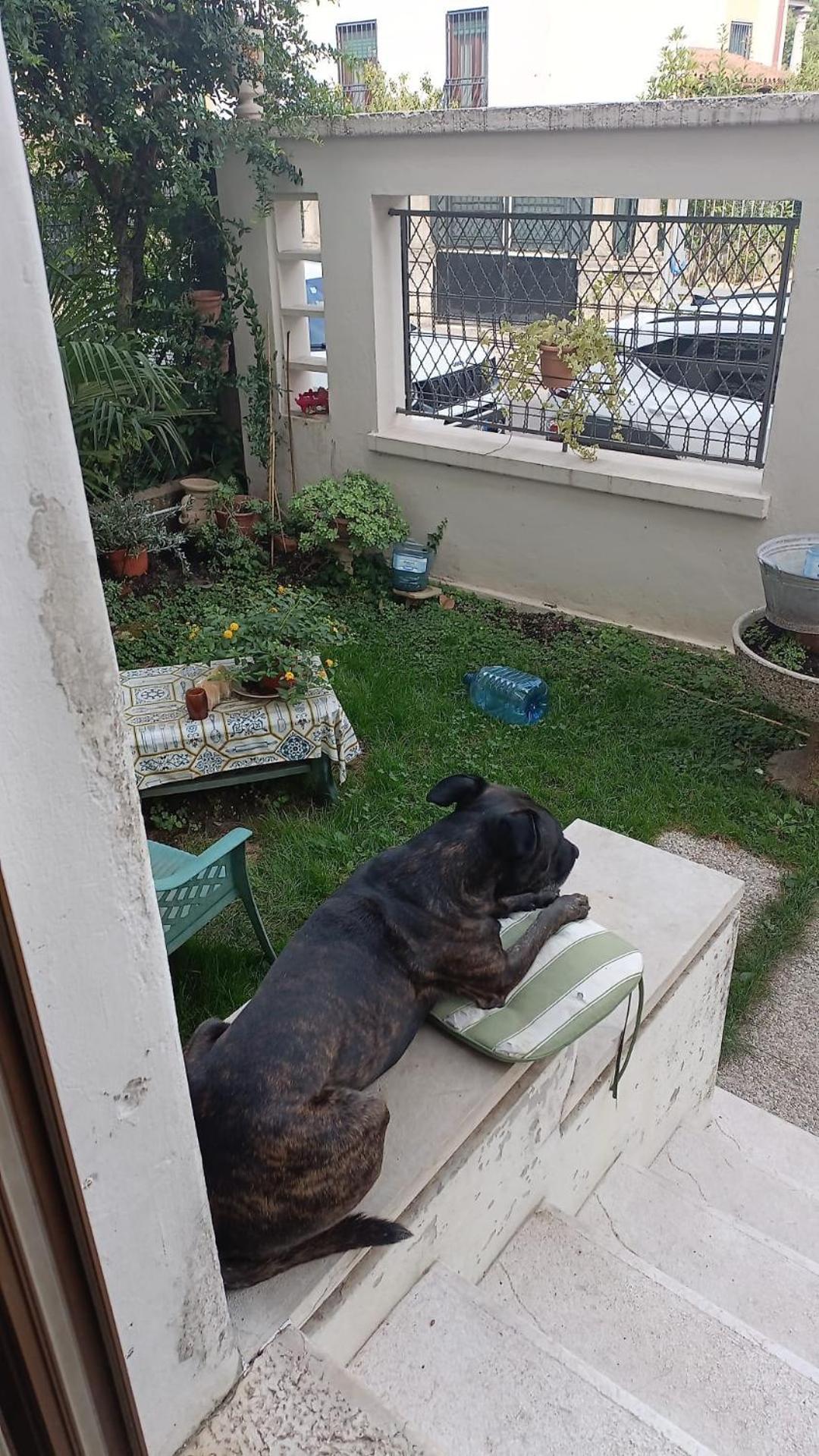 Chez Mavipagi Appartamento *