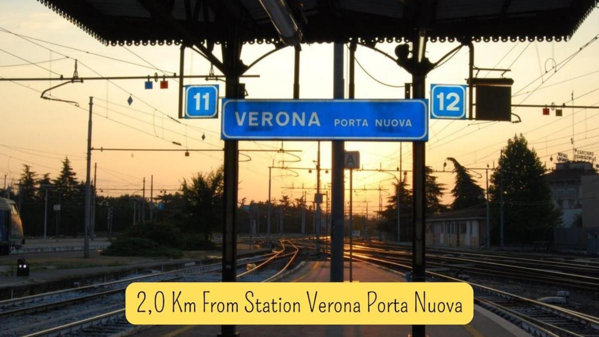 Arena 500m Vintage