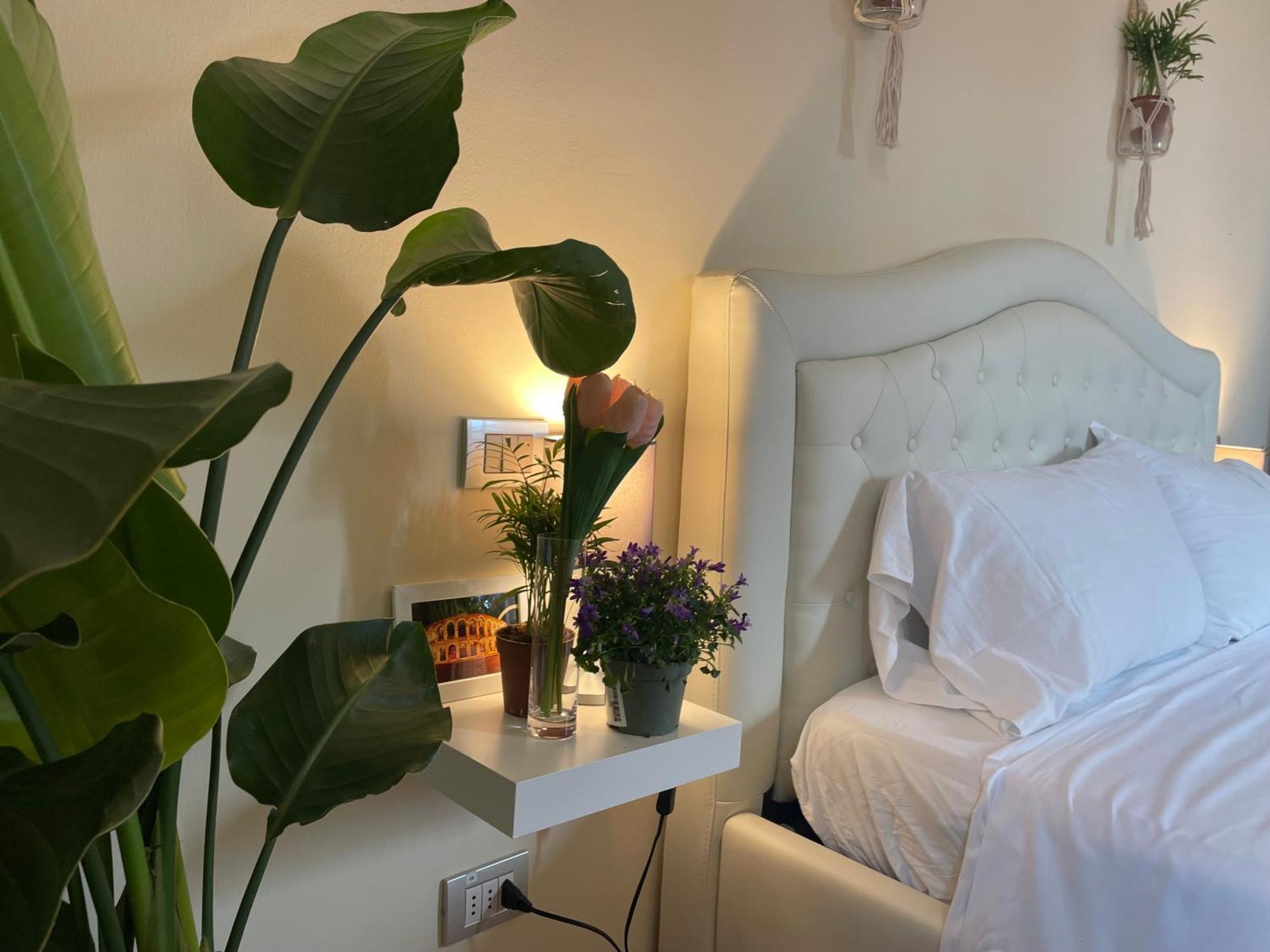 Montecchi House Apartment *