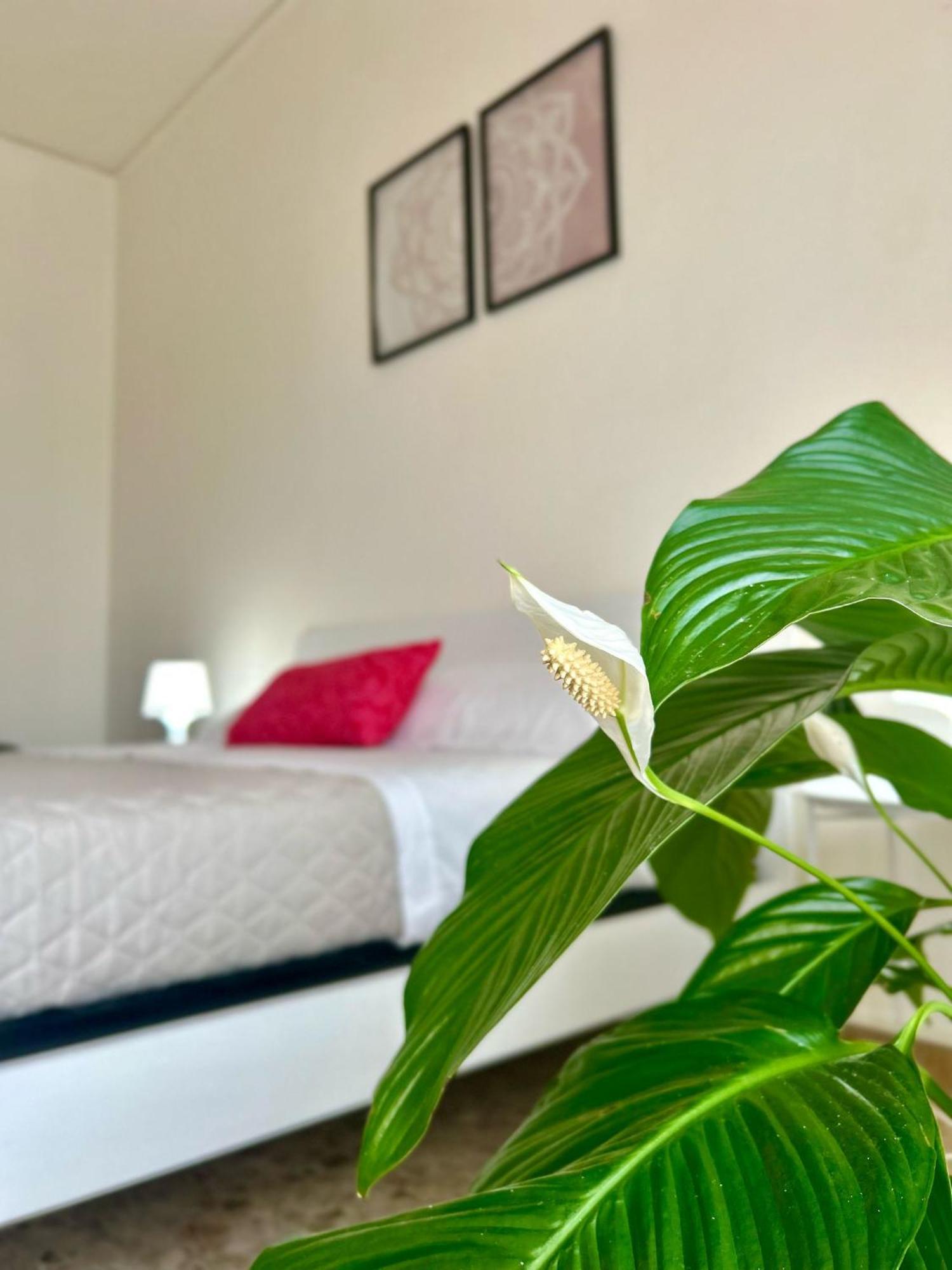 Appartement Casa Gabry