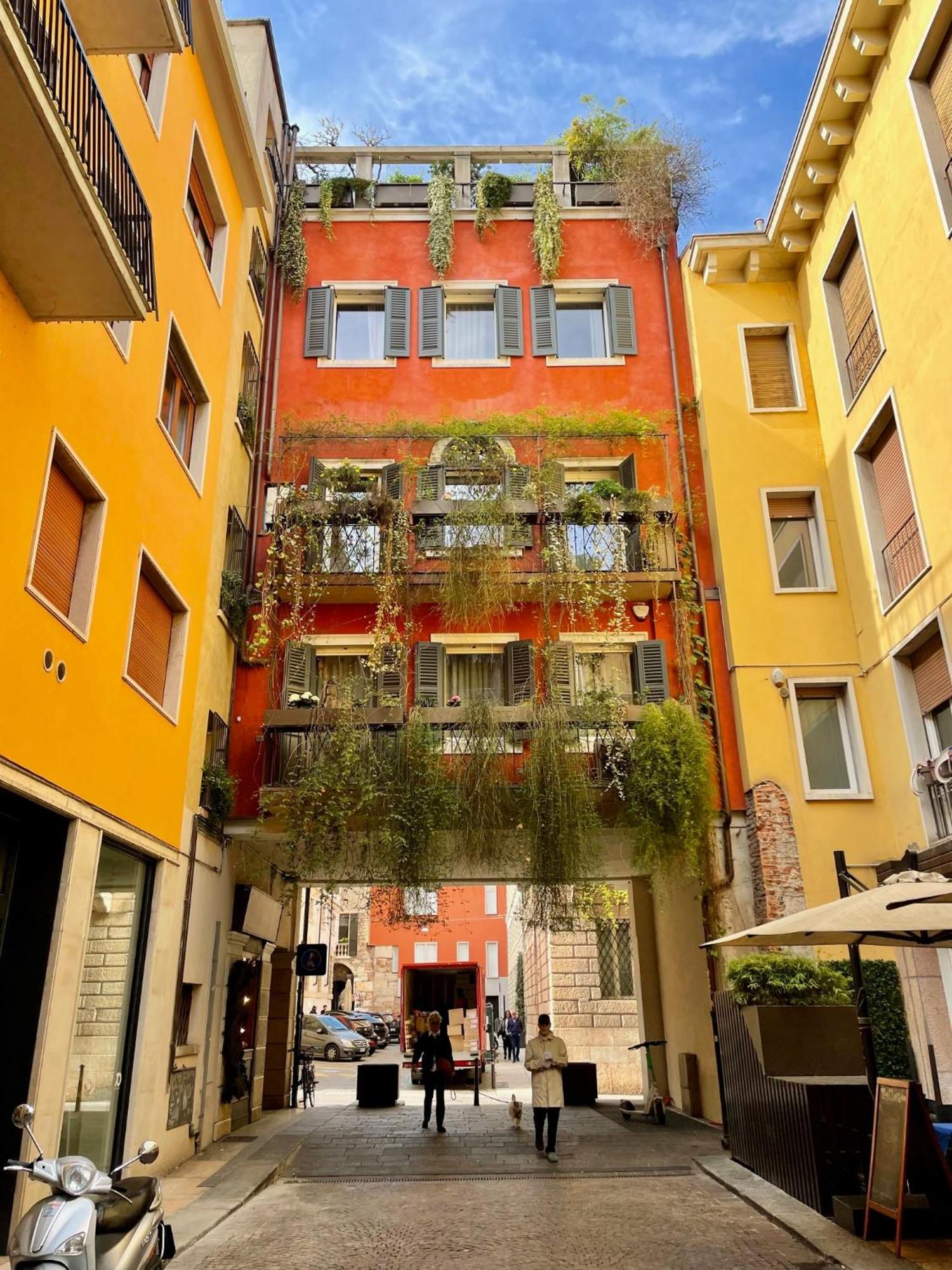 Apartment Domus Pellicciai *