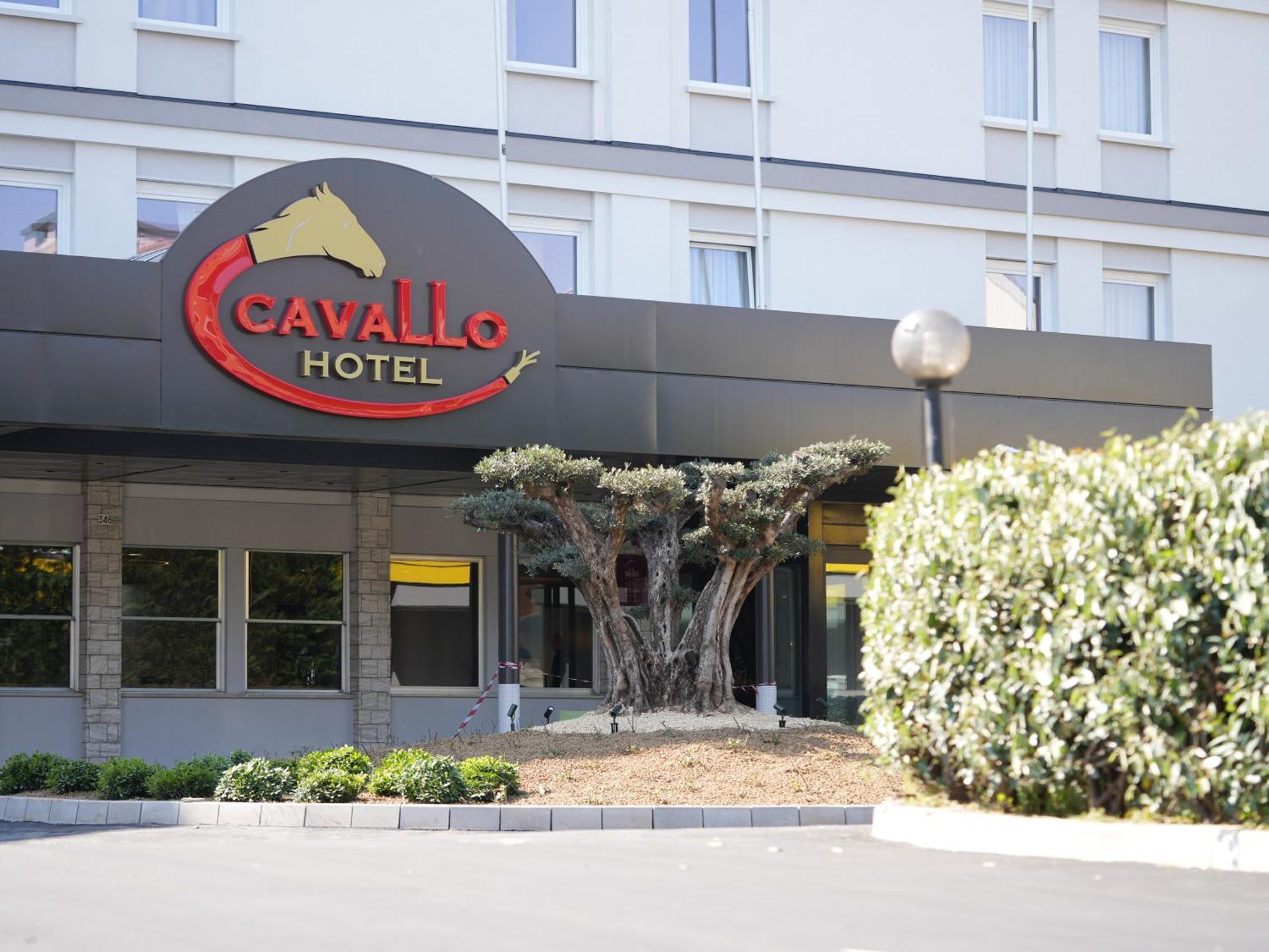 Hotel Cavallo Est 4*