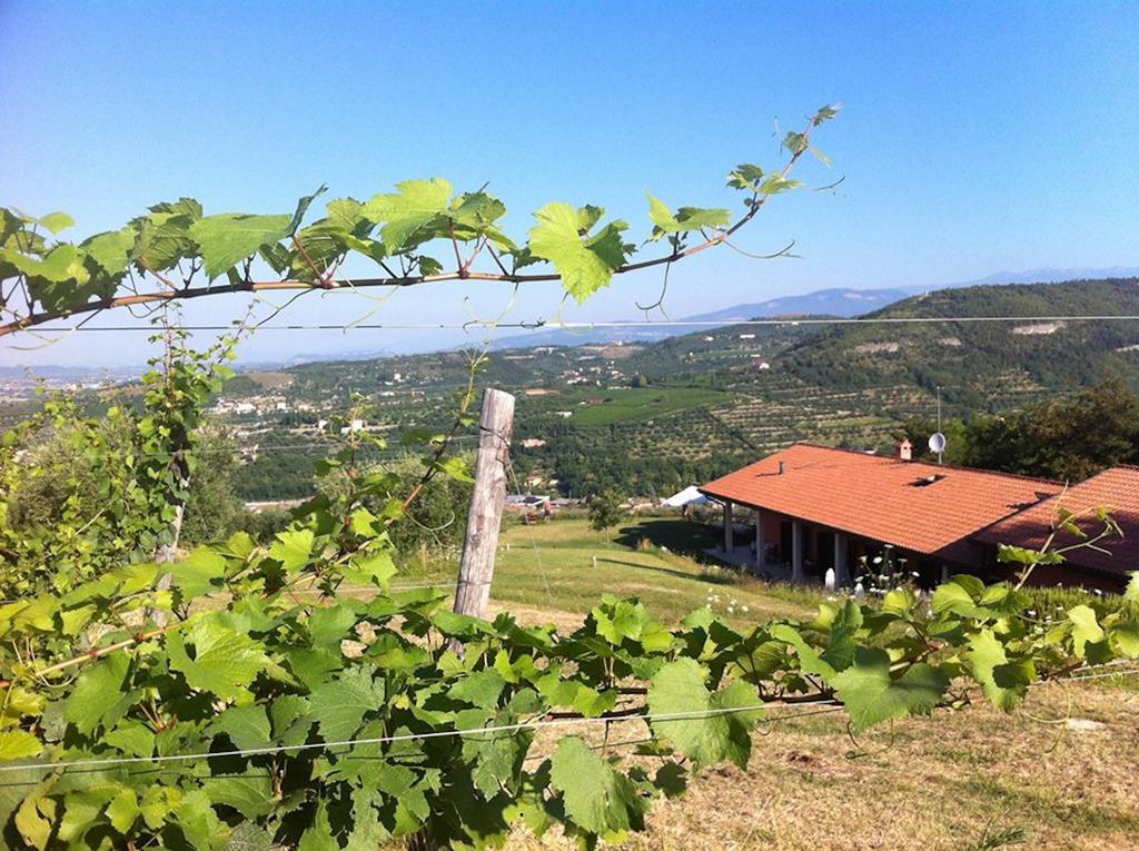 Farm stay Il Pianetto *