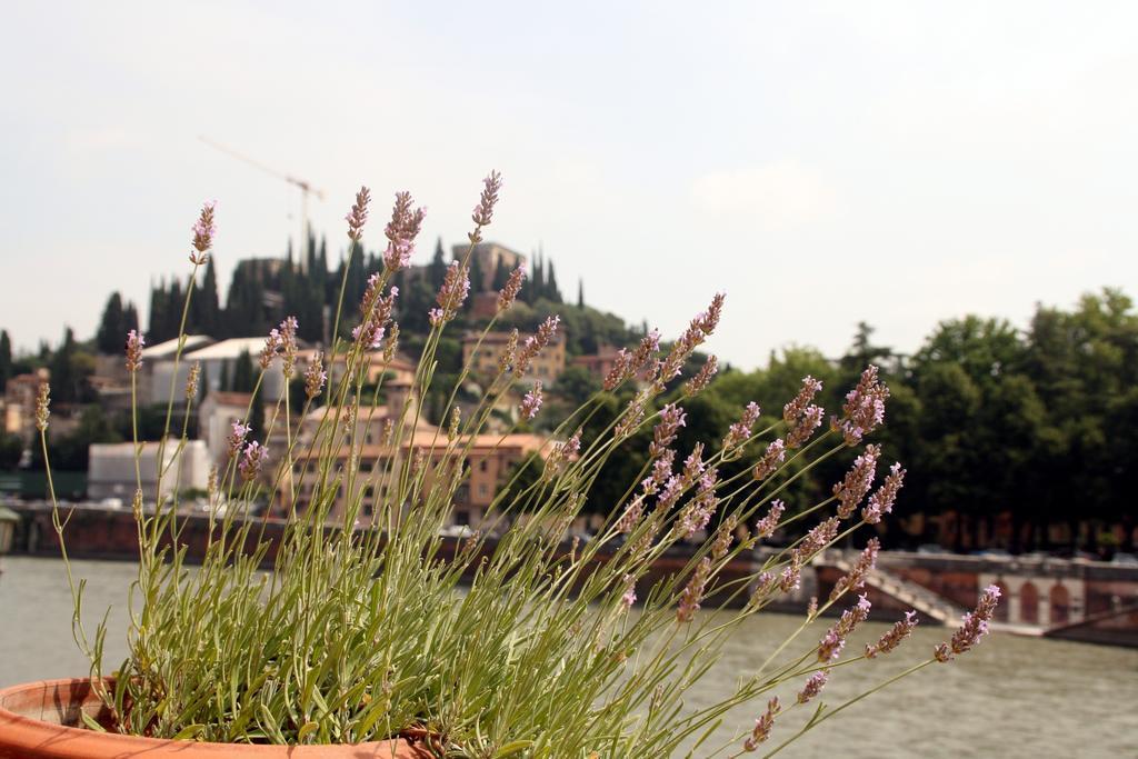 Sottoriva36 Bed & Breakfast *