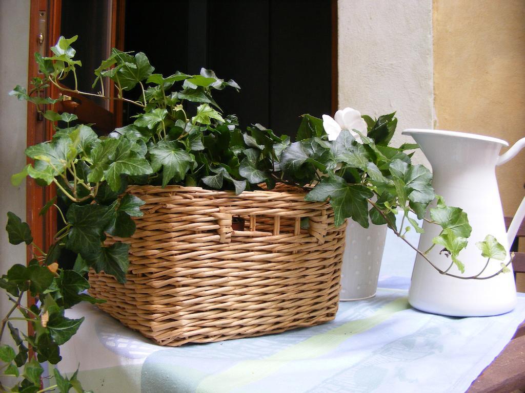 Bed & Breakfast B&B Borgo Re Teodorico 2*