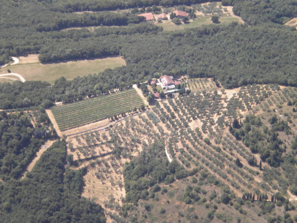 Bed & Breakfast Ca' Morino *