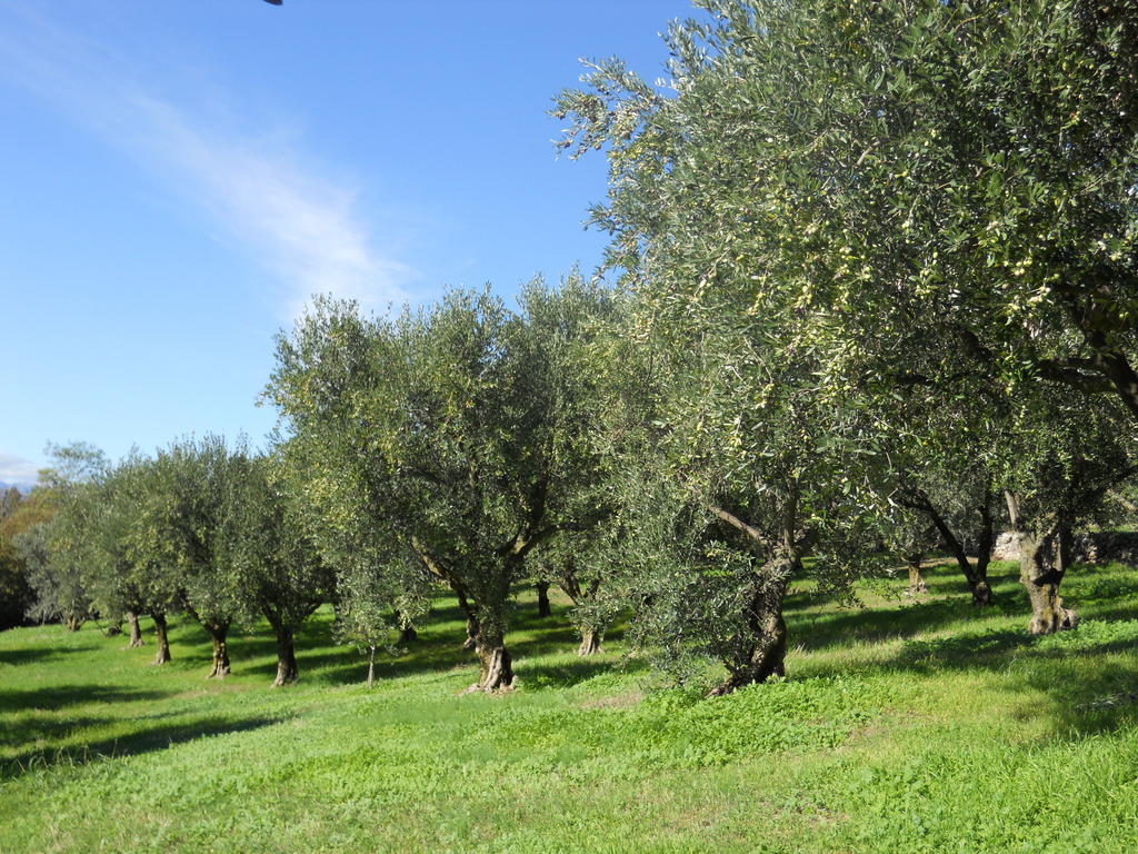 Ca' Morino Verona