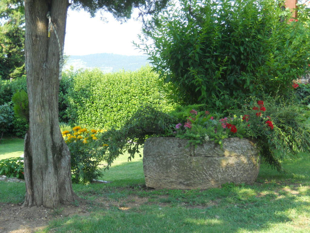 Bed & Breakfast Ca' Morino *