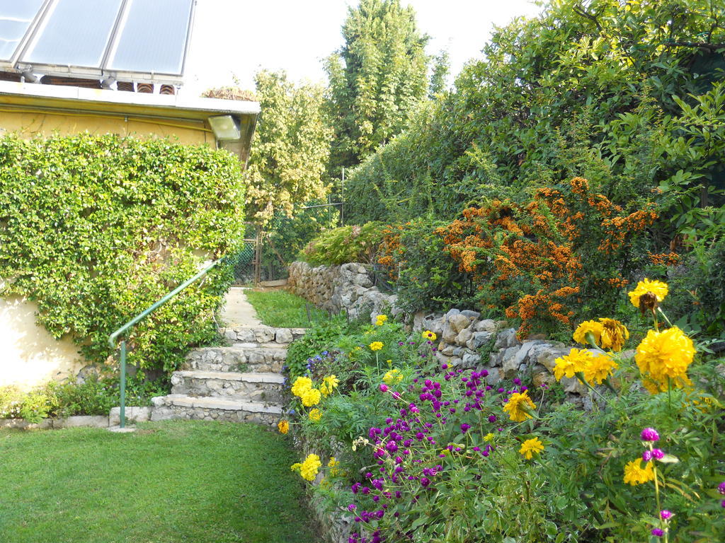 Bed & Breakfast Ca' Morino