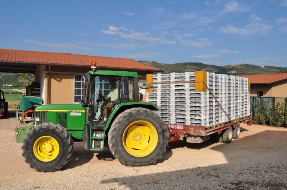 Corte Moranda Farm stay
