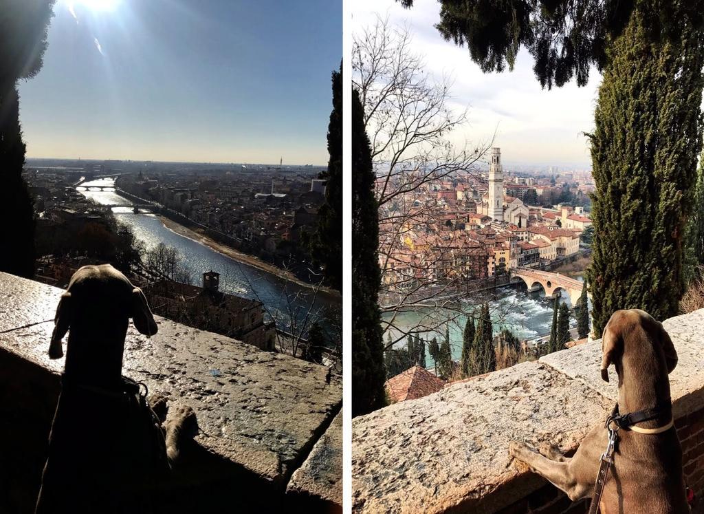 Aamiaismajoitus B&B Borgo Re Teodorico Verona
