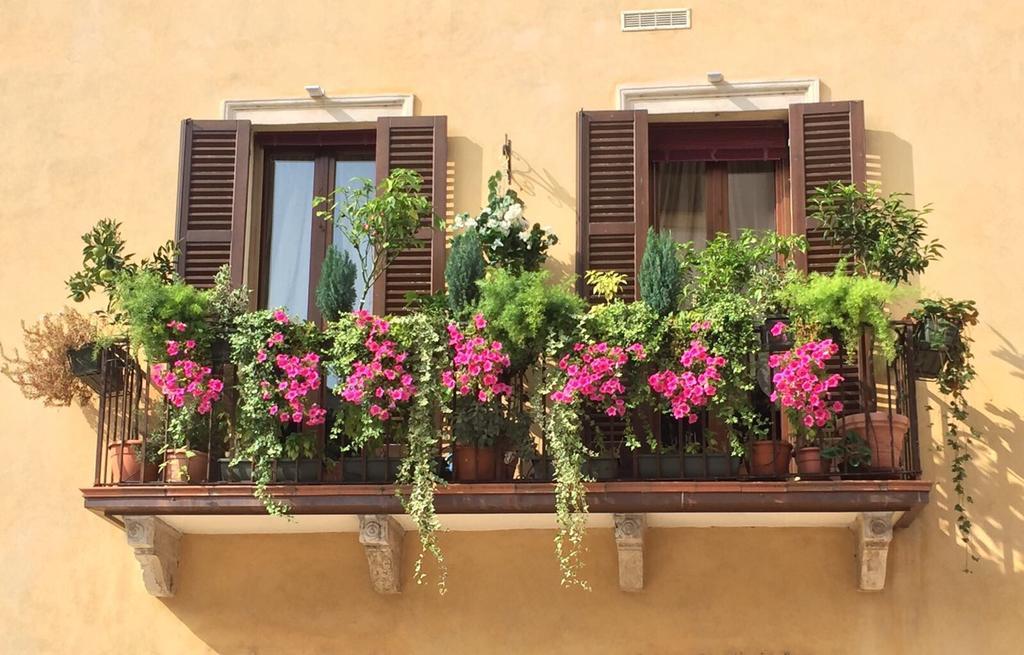 Mela Verona